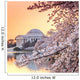 Jefferson Memorial Blossom Wall Mural