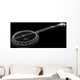 Banjo - 5 string Wall Mural