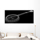 Banjo - 5 string Wall Mural