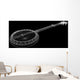 Banjo - 5 string Wall Mural