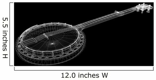 Banjo - 5 string Wall Mural