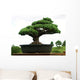 bonsaÃ¯ Wall Mural