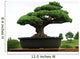 bonsaÃ¯ Wall Mural