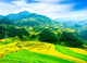 Rice Fields Terraces Vietnam Wall Decal