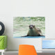 Harbor Seal Phoca Vitulina Wall Decal