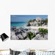 Watching Tulum ruins with a lizard Wall Mural