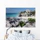 Watching Tulum ruins with a lizard Wall Mural
