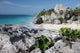 Watching Tulum ruins with a lizard Wall Mural