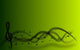 Treble clef background Wall Mural