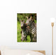 Zebra Wall Mural