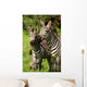 Zebra Wall Mural