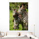 Zebra Wall Mural