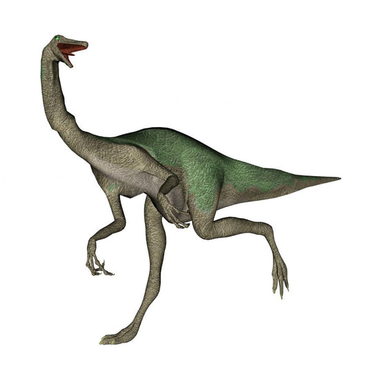 Gallimimus dinosaur walking - 3D render Wall Decal