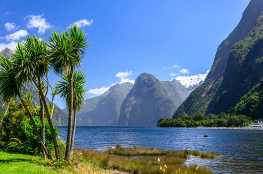 Milford Sound. New Zealand Wall Mural