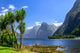 Milford Sound. New Zealand Wall Mural