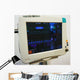Vital signs monitoring Wall Mural