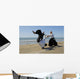 Aikido on the beach Wall Mural