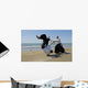 Aikido on the beach Wall Mural