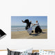 Aikido on the beach Wall Mural