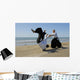 Aikido on the beach Wall Mural