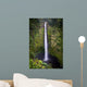 Akaka Falls Wall Mural