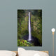 Akaka Falls Wall Mural