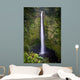 Akaka Falls Wall Mural