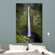 Akaka Falls Wall Mural
