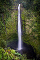 Akaka Falls Wall Mural