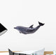 Dark Gray Dolphin