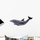 Dark Gray Dolphin