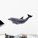 Dark Gray Dolphin