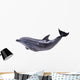 Dark Gray Dolphin