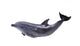 Dark Gray Dolphin