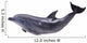 Dark Gray Dolphin