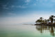 Kinneret, Galilee sea, Israel, Tiberias lake with palms Wall Mural