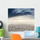 Desert landscape and sunset Wall Mural