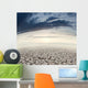 Desert landscape and sunset Wall Mural