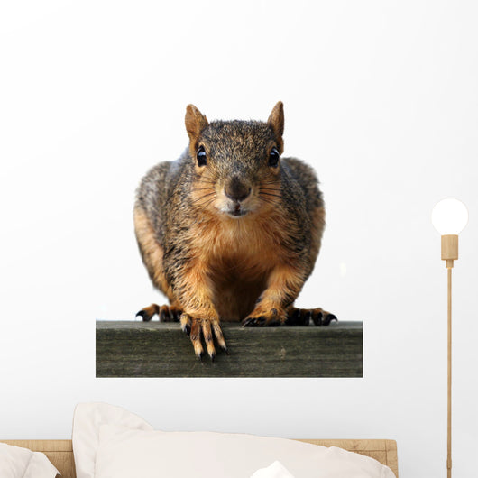 Big Red Wall Decal