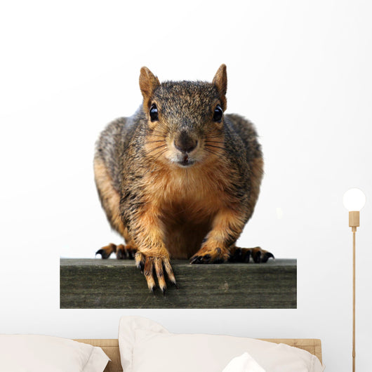 Big Red Wall Decal