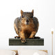 Big Red Wall Decal