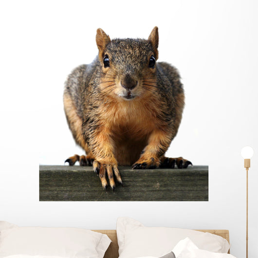 Big Red Wall Decal