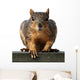 Big Red Wall Decal