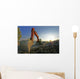 Excavator Wall Mural