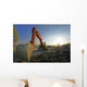 Excavator Wall Mural