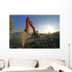 Excavator Wall Mural