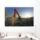 Excavator Wall Mural