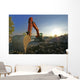 Excavator Wall Mural