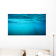 Underwater view with sun beams in turquoise water Wall Mural