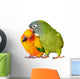 Loving Conure Parrots Wall Decal